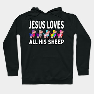 Proud Ally LGBTQ Pride Jesus Loves All His Sheep Christian Hoodie